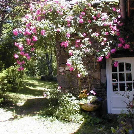 Maison Familiale Renovee Avec Grand Jardin, Proche D'aurillac Et Activites Diverses, Animaux Acceptes - Fr-1-742-287 Holiday home Vezac (Cantal)