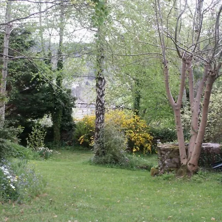 Maison Familiale Renovee Avec Grand Jardin, Proche D'aurillac Et Activites Diverses, Animaux Acceptes - Fr-1-742-287